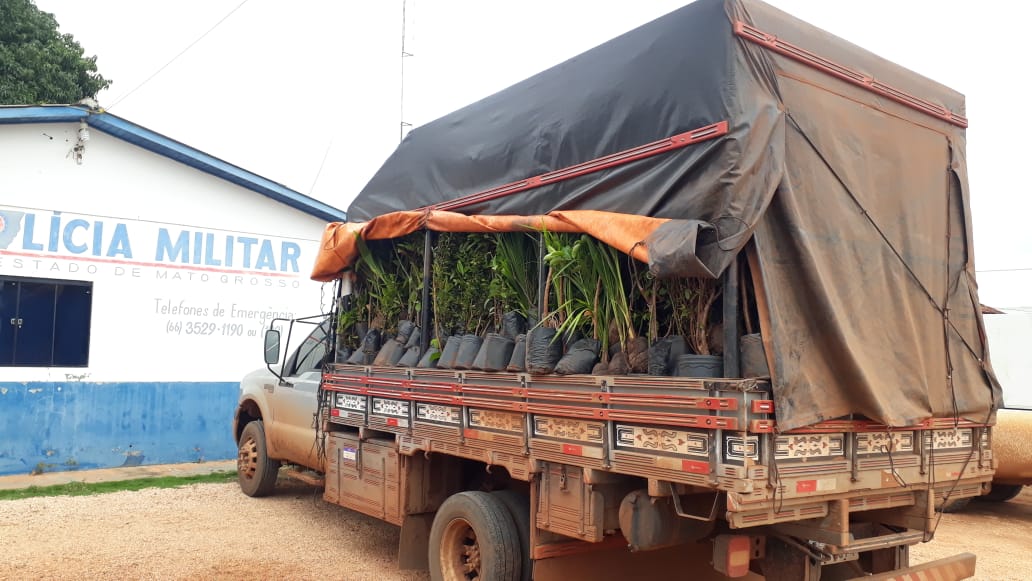 Photo of QUERÊNCIA- Caminhonete  é apreendida  por transporte e venda irregular de mudas de árvores frutíferas