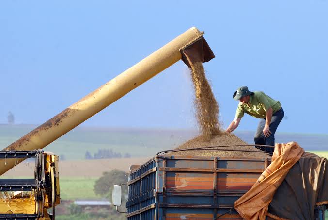Photo of Frete de grãos em MT sobe até 8% com falta de caminhões, diz Imea