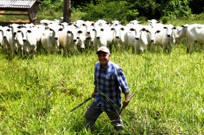 Photo of MT- Antônio Joaquim admite lavagem de dinheiro ao ter iniciado rebanho em sua fazenda quando era conselheiro do TCE