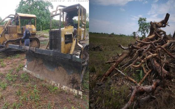 Photo of Batalhão Ambiental identifica desmatamento em propriedade particular em Ribeirão Cascalheira
