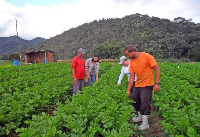 Photo of Programa quer facilitar crédito à agricultor familiar para compra de terra