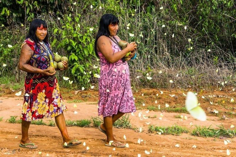 Photo of Querência- Contra covid, indígenas exigem quarentena de mesários e ameaçam vetar urnas