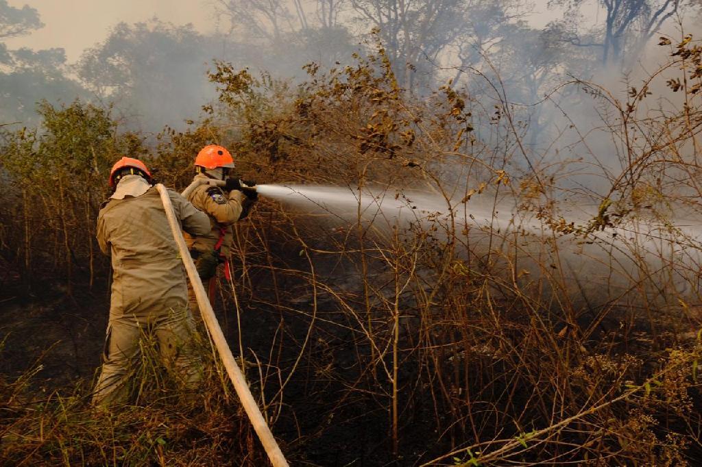 Photo of MT- Operação investiga Energisa e fazendeiros por incêndios