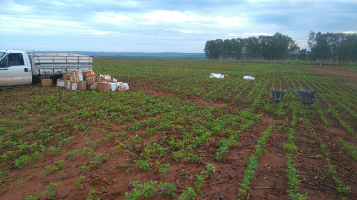 Photo of Canarana- Ladrões levam mais de 600 mil reais em defensivos agrícolas de fazenda