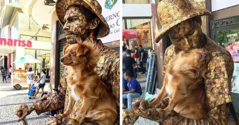 Photo of Cachorrinha ajuda seu pai humano, um artista de rua em sua rotina de estátua humana