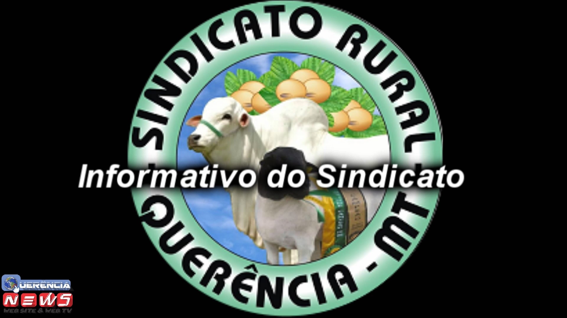 Photo of Querência- Informativo do Sindicato Rural (15/09/21)