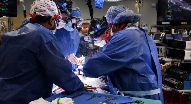 Photo of Médicos fazem primeiro transplante de coração de suíno em humano