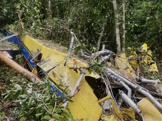 Photo of Avião agrícola cai em Mato Grosso e piloto morre preso às ferragens