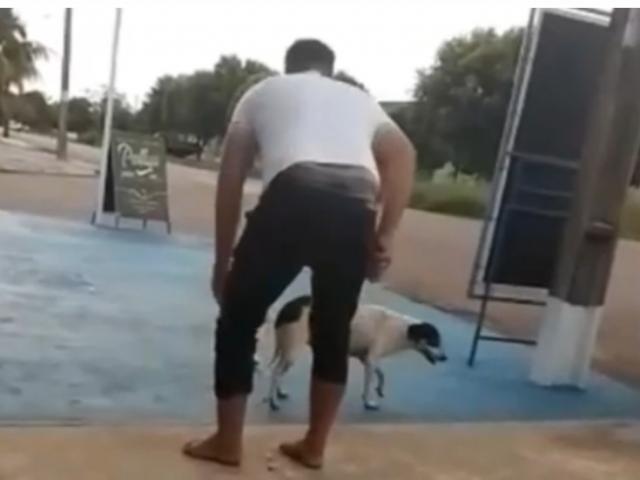 Photo of Vereador amarra bomba em pata de cachorro e se diverte com desespero do animal
