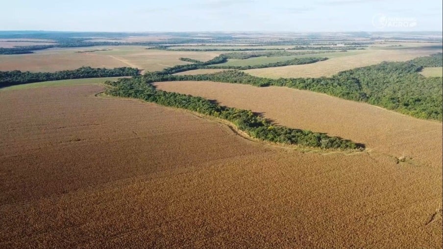 Photo of Justiça Federal ‘freia’ expansão de terras indígenas Kapôt Nhinore entre MT e PA