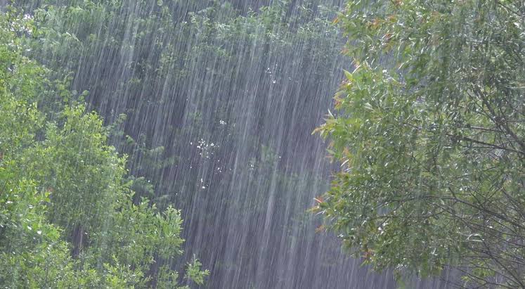 Photo of Inmet alerta para risco de chuvas intensas e vendavais em MT; veja a previsão