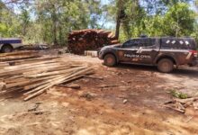 Photo of Operação conjunta desmantela esquema de extração ilegal de madeira em São Félix do Araguaia