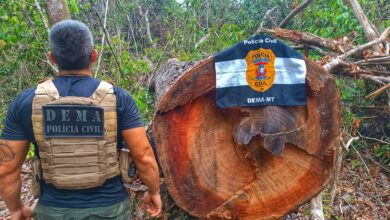 Photo of Querência- Polícia Civil desarticula ponto utilizado por criminosos para extração ilegal de madeira