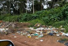 Photo of Querência – Lixo é deixado por moradores às margens de estradas como a BR-242