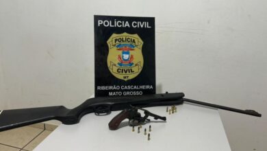 Photo of Ribeirão Cascalheira – Polícia Civil recupera bovinos e apreende armas e munições com autores de furto