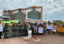 Photo of Indígenas de Mato Grosso protestam pelo fim das obras da Ferrogrão