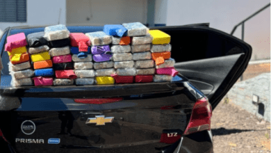 Photo of Polícia Militar e PRF apreendem 51 tabletes de cocaína e causam prejuízo de R$ 1 milhão ao crime