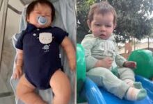 Photo of Bebês reborn:  Briga na Justiça e projeto de lei para proibir , entenda polêmica
