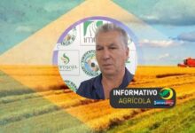 Photo of Informativo Agrícola Querência: Gripe Aviária,Premiação Mundial da Alimentação,Parceria de empresa brasileira com a China e Encontro da Associação Produtor de Milho 
