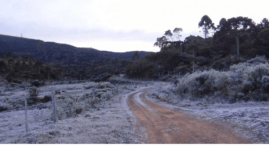 Photo of Grande chance de geada e muito frio em três regiões