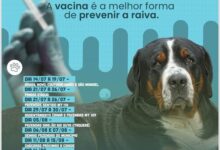 Photo of Querência: Campanha de Vacinação Antirrábica 2025