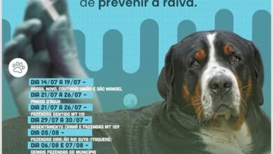 Photo of Querência: Campanha de Vacinação Antirrábica 2025