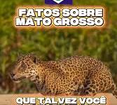 Photo of E AÍ, VOCÊ CONHECE MT MESMO? ???