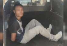 Photo of GO: Homem mata a própria mãe e confessa crime: “Um inferno na minha vida”