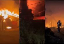 Photo of Incêndio em aviário mata 21 mil pintinhos no Paraná