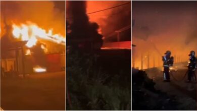 Photo of Incêndio em aviário mata 21 mil pintinhos no Paraná