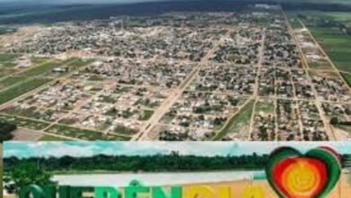 Photo of Querência: Um dos Municípios que Mais se Destaca em Mato Grosso em 2025