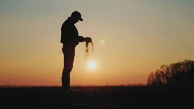 Photo of Governo de Mato Grosso abre edital para apoiar agricultores familiares com até R$ 6 mil por família