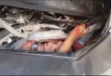 Photo of ‘Alguém segura a mão do meu filho’, disse mãe após acidente que deixou carro esmagado em Alagoas