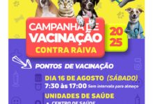 Photo of Campanha de Vacinação Contra a Raiva será realizada neste sábado em Querência 