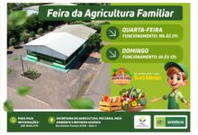 Photo of Feira da Agricultura Familiar oferece produtos frescos em Querência