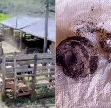 Photo of Objeto misterioso cai em propriedade rural de Minas Gerais e será analisado por especialista em meteoritos