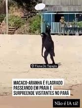 Photo of Macaco-aranha “turista” chama atenção na Flona do Tapajós