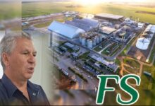 Photo of Informativo Agrícola: Querência se consolida como novo polo de biocombustíveis no Brasil