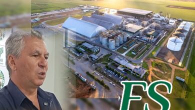 Photo of Informativo Agrícola: Querência se consolida como novo polo de biocombustíveis no Brasil