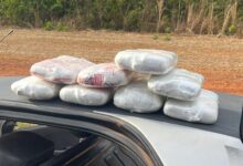 Photo of Canarana: PM prende idoso suspeito com 8 kg de maconha escondidos embaixo de banco de veículo