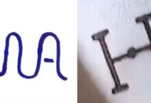 Photo of Roubo de gado é registrado na região da Serra Dourada, em Canarana (MT)