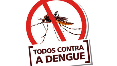 Photo of Dengue se combate todos os dias em Querência