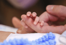 Photo of Nova lei permite que licença-maternidade comece após alta hospitalar da mãe ou do bebê