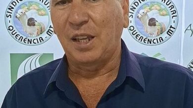 Photo of Informativo Agrícola: Chuvas, mercado global e sustentabilidade marcam o Café com o Produtor Rural em Querência