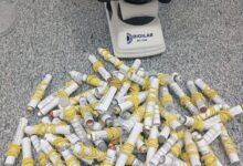 Photo of Vigilância Ambiental de Querência emite alerta sobre aumento do risco de dengue com início das chuvas