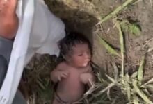 Photo of Recém-nascida é resgatada em barranco de Boa Esperança, uma história que fere e toca o coração