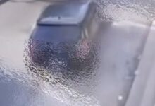 Photo of SP: Atropelamento brutal na Marginal Tietê deixa mulher gravemente ferida; ex-companheiro é detido