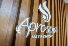 Photo of Aprosoja MT avalia decreto que regulamenta a lei da Moratória da Soja