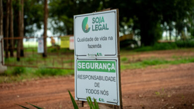 Photo of Programa Soja Legal entra em nova fase e amplia o reconhecimento às boas práticas no campo