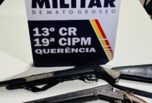 Photo of PM apreende armas e munições após disparos contra animal no Distrito de Brasil Novo